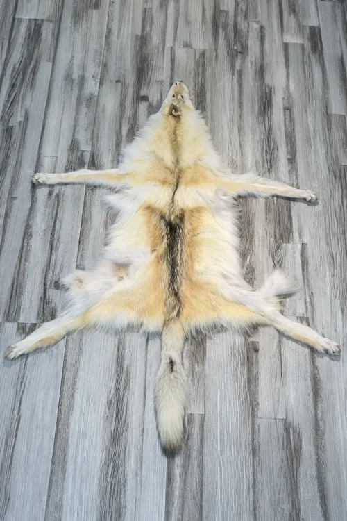 ARCTIC WOLF - #0001502 | Dressed skins | BILODEAU Canada