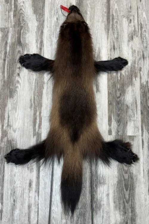 WOLVERINE - #0001515 | Dressed skins | BILODEAU Canada