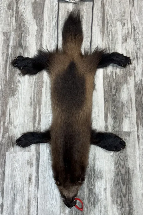 WOLVERINE - #0001515 | Dressed skins | BILODEAU Canada