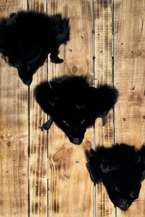 Black-dyed Fox Head | Fur scraps | BILODEAU Canada
