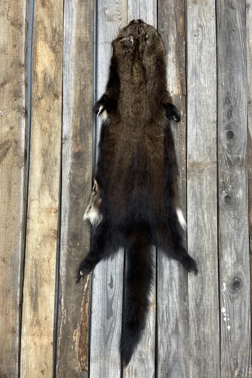 Fisher pelt | Dressed skins | BILODEAU Canada