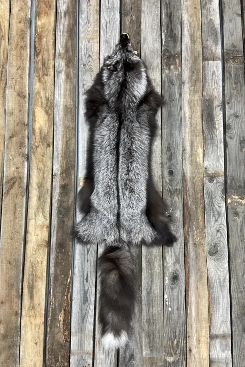 Wild silver Fox pelt | Dressed skins | BILODEAU Canada