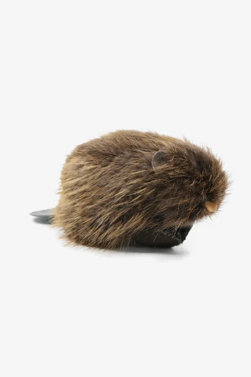 Plush - Beaver | Accessories | BILODEAU Canada
