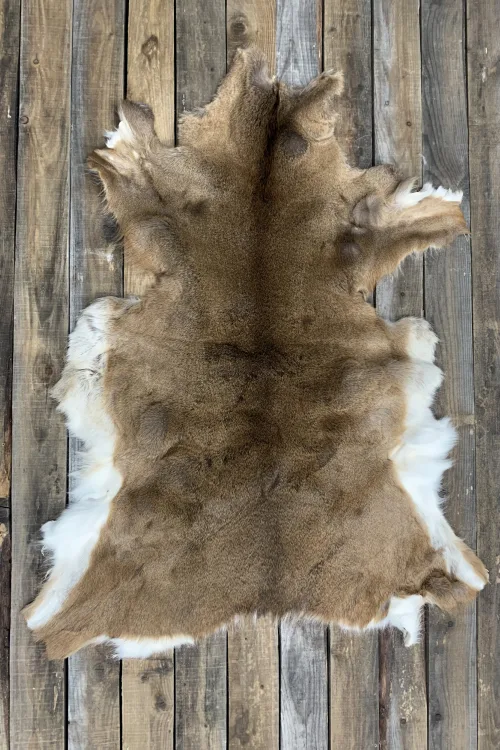 Deer pelt | Dressed skins | BILODEAU Canada