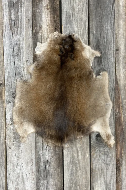 Muskrat pelt | Dressed skins | BILODEAU Canada