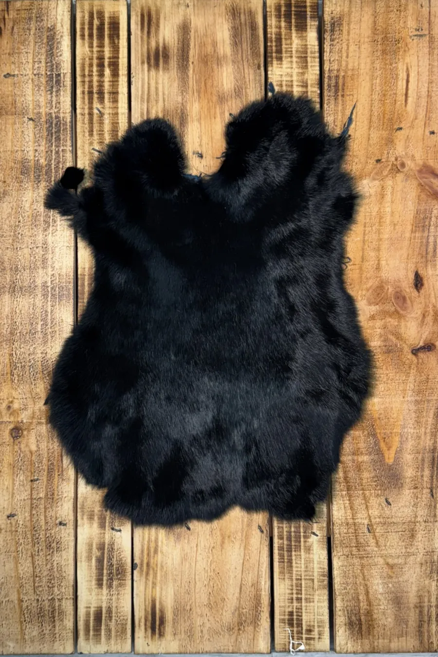 Lapin noir