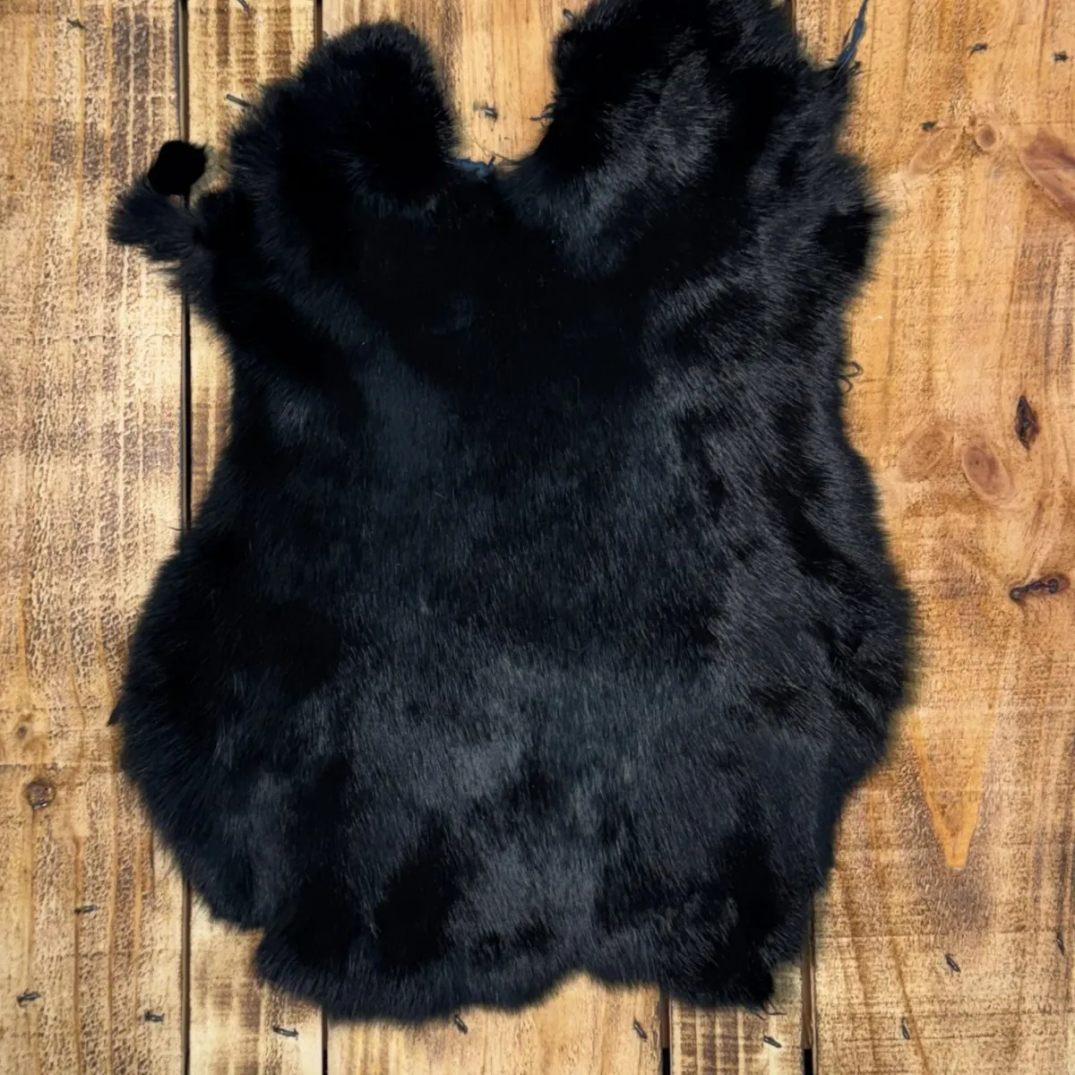 Lapin noir