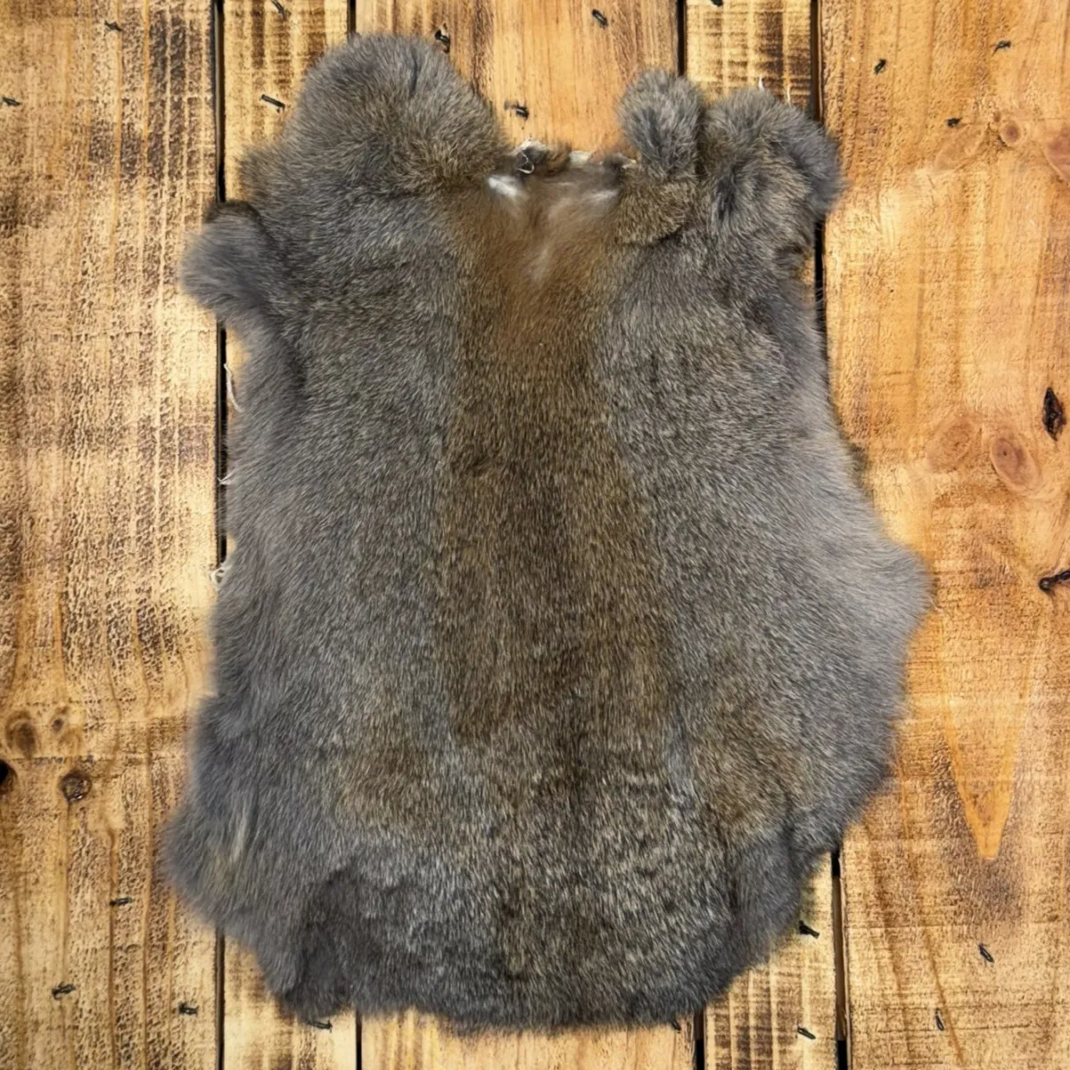 Lapin gris brun