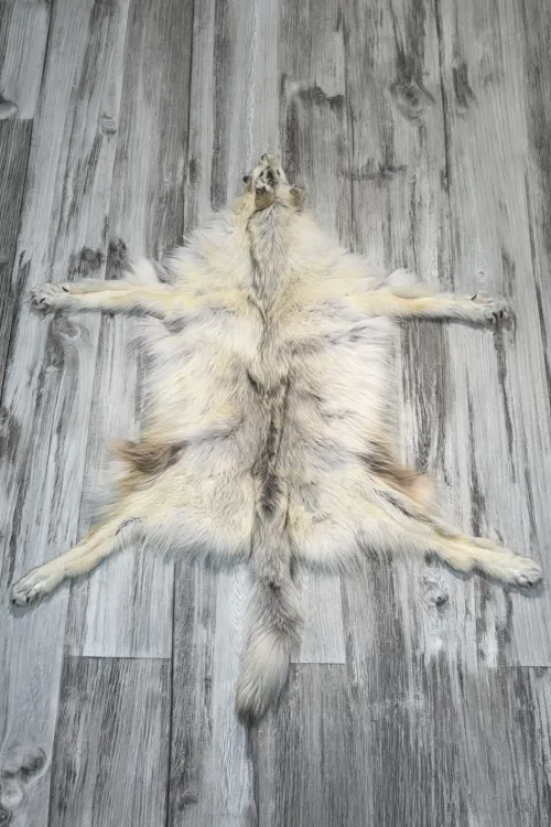 PEAU DE LOUP ARCTIQUE - #0001516 | Peaux apprêtées | BILODEAU Canada