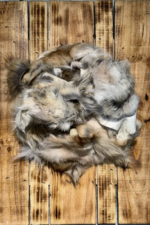 Retailles de Coyote | Retailles de fourrure | BILODEAU Canada
