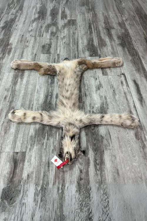 Peau de Lynx tannée sec - TAGBC#0001000 | Peaux apprêtées | BILODEAU Canada