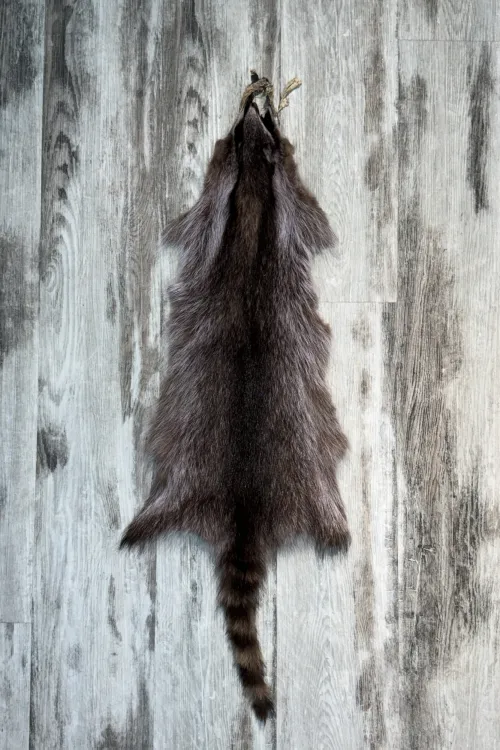Peau de Raton Laveur (Teinte Violette) | Peaux apprêtées | BILODEAU Canada