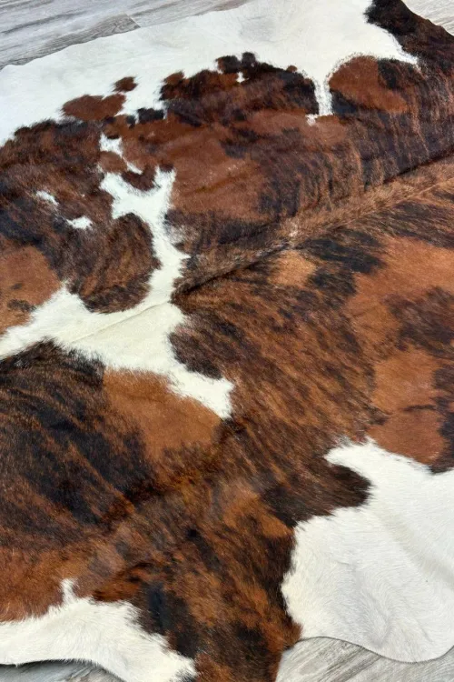 Peau de vache - 373 | Accessoires de décorations | BILODEAU Canada