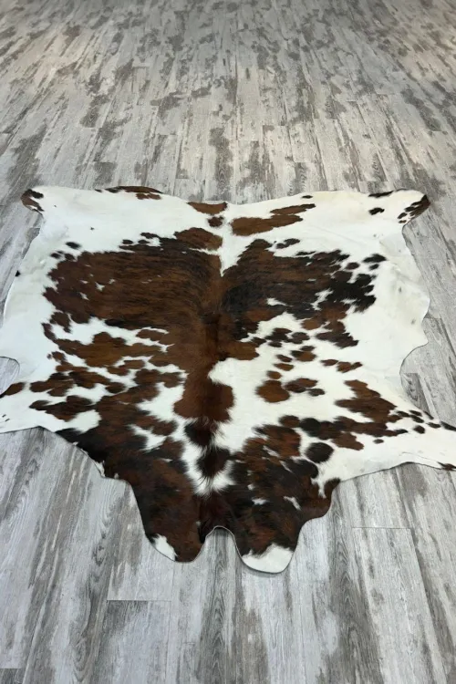 Peau de vache - 593 | Accessoires de décorations | BILODEAU Canada