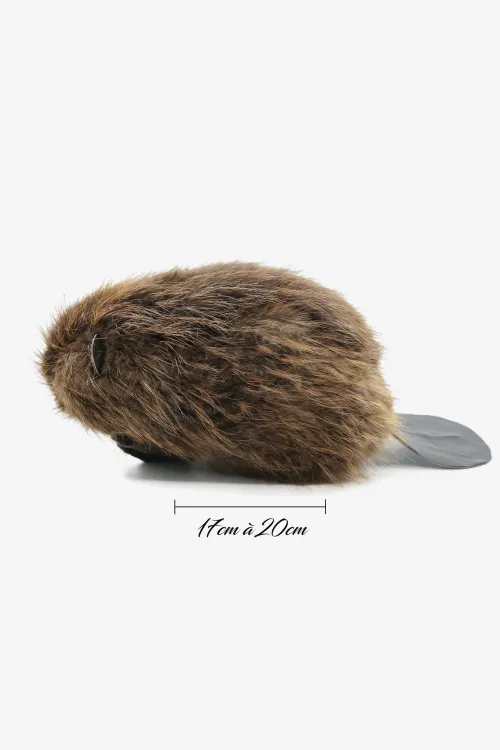 Peluche Castor naturel | Accessoires | BILODEAU Canada