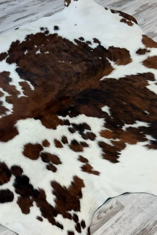 Peau de vache - 593 | Accessoires de décorations | BILODEAU Canada