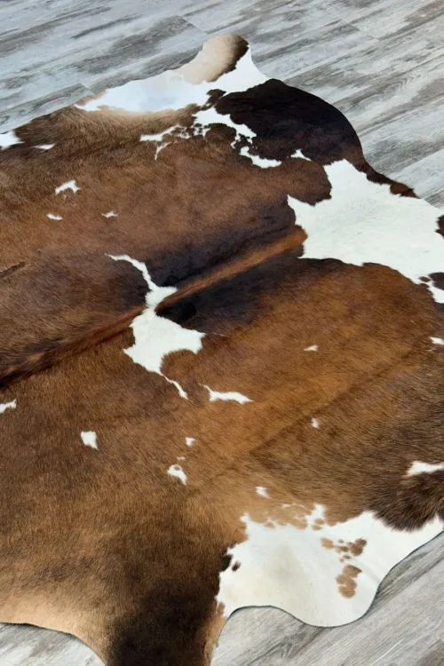 Peau de vache - 95298 | Accessoires de décorations | BILODEAU Canada