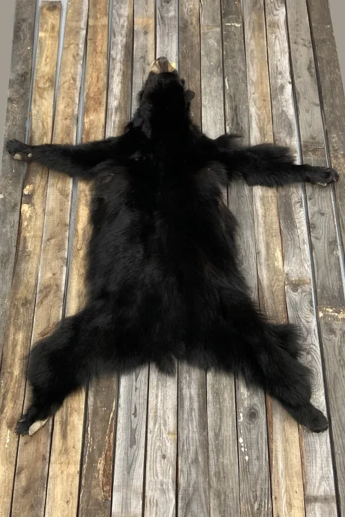 Peau d'Ours noir | Peaux apprêtées | BILODEAU Canada