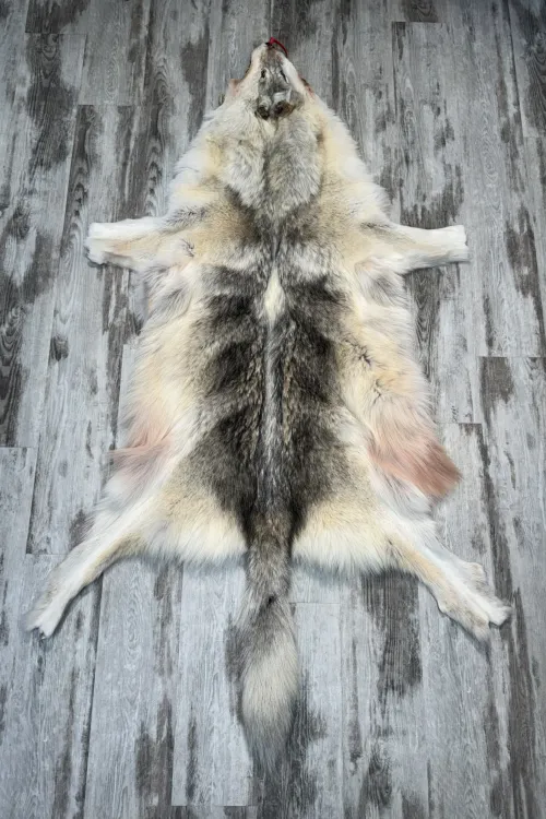 PEAU DE LOUP ARCTIQUE - #0001501 | Peaux apprêtées | BILODEAU Canada